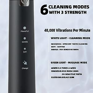 Adult 8 Brush Heads Electric Toothbrush